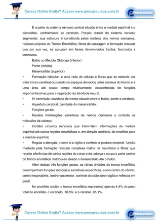 É a parte do sistema nervoso central situado entre a medula espinhal e o
diencéfalo, ventralmente ao cerebelo. Porção cranial do sistema nervoso
segmentar, sua estrutura é constituída pelos núcleos dos nervos cranianos,
núcleos próprios do Tronco Encefálico, fibras de passagem e formação reticular
que por sua vez, se agrupam em feixes denominados tractos, fascículos e
lemniscos.
Bulbo ou Medula Oblonga (inferior)
Ponte (média)
Mesencéfalo (superior)
• Formação reticular: é uma rede de células e fibras que se estende por
todo tronco cerebral ocupando os espaços deixados pelos núcleos do tronco e é
uma área até pouco tempo relativamente desconhecida de funções
importantíssimas para a regulação da atividade neural.
• IV ventrículo: cavidade do tronco situado entre o bulbo, ponte e cerebelo.
• Aqueduto cerebral: cavidade do mesencéfalo.
Funções gerais:
• Recebe informações sensitivas de nervos cranianos e controla os
músculos da cabeça;
• Contém circuitos nervosos que transmitem informações da medula
espinhal até outras regiões encefálicas e, em direção contrária, do encéfalo para
a medula espinhal;
• Regula a atenção, o sono e a vigília e controla a postura corporal, função
mediada pela formação reticular complexa malha de neurônios e fibras que
recebe aferências de várias regiões do corpo e da cabeça e ocupa a parte central
do tronco encefálico distribui-se desde o mesencéfalo até o bulbo.
Além destas três funções gerais, as várias divisões do tronco encefálico
desempenham funções motoras e sensitivas específicas, como centro do vômito,
centro respiratório, centro vasomotor, controle do ciclo sono-vigília e reflexos em
geral.
No encéfalo adulto, o tronco encefálico representa apenas 4,4% do peso
total do encéfalo, o cerebelo, 10,5%; e o cérebro, 85,1%.
 