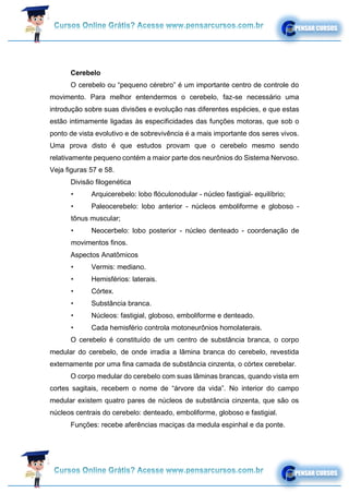 Cerebelo
O cerebelo ou “pequeno cérebro” é um importante centro de controle do
movimento. Para melhor entendermos o cerebelo, faz-se necessário uma
introdução sobre suas divisões e evolução nas diferentes espécies, e que estas
estão intimamente ligadas às especificidades das funções motoras, que sob o
ponto de vista evolutivo e de sobrevivência é a mais importante dos seres vivos.
Uma prova disto é que estudos provam que o cerebelo mesmo sendo
relativamente pequeno contém a maior parte dos neurônios do Sistema Nervoso.
Veja figuras 57 e 58.
Divisão filogenética
• Arquicerebelo: lobo flóculonodular - núcleo fastigial- equilíbrio;
• Paleocerebelo: lobo anterior - núcleos emboliforme e globoso -
tônus muscular;
• Neocerbelo: lobo posterior - núcleo denteado - coordenação de
movimentos finos.
Aspectos Anatômicos
• Vermis: mediano.
• Hemisférios: laterais.
• Córtex.
• Substância branca.
• Núcleos: fastigial, globoso, emboliforme e denteado.
• Cada hemisfério controla motoneurônios homolaterais.
O cerebelo é constituído de um centro de substância branca, o corpo
medular do cerebelo, de onde irradia a lâmina branca do cerebelo, revestida
externamente por uma fina camada de substância cinzenta, o córtex cerebelar.
O corpo medular do cerebelo com suas lâminas brancas, quando vista em
cortes sagitais, recebem o nome de “árvore da vida”. No interior do campo
medular existem quatro pares de núcleos de substância cinzenta, que são os
núcleos centrais do cerebelo: denteado, emboliforme, globoso e fastigial.
Funções: recebe aferências maciças da medula espinhal e da ponte.
 