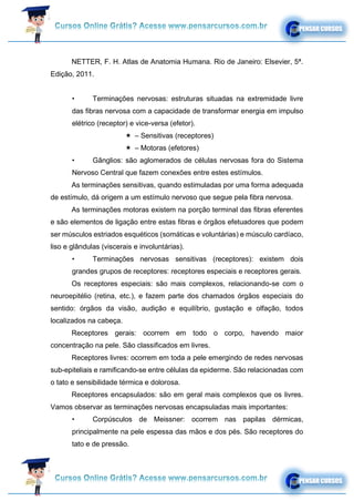 NETTER, F. H. Atlas de Anatomia Humana. Rio de Janeiro: Elsevier, 5ª.
Edição, 2011.
• Terminações nervosas: estruturas situadas na extremidade livre
das fibras nervosa com a capacidade de transformar energia em impulso
elétrico (receptor) e vice-versa (efetor).
 – Sensitivas (receptores)
 – Motoras (efetores)
• Gânglios: são aglomerados de células nervosas fora do Sistema
Nervoso Central que fazem conexões entre estes estímulos.
As terminações sensitivas, quando estimuladas por uma forma adequada
de estímulo, dá origem a um estímulo nervoso que segue pela fibra nervosa.
As terminações motoras existem na porção terminal das fibras eferentes
e são elementos de ligação entre estas fibras e órgãos efetuadores que podem
ser músculos estriados esquéticos (somáticas e voluntárias) e músculo cardíaco,
liso e glândulas (viscerais e involuntárias).
• Terminações nervosas sensitivas (receptores): existem dois
grandes grupos de receptores: receptores especiais e receptores gerais.
Os receptores especiais: são mais complexos, relacionando-se com o
neuroepitélio (retina, etc.), e fazem parte dos chamados órgãos especiais do
sentido: órgãos da visão, audição e equilíbrio, gustação e olfação, todos
localizados na cabeça.
Receptores gerais: ocorrem em todo o corpo, havendo maior
concentração na pele. São classificados em livres.
Receptores livres: ocorrem em toda a pele emergindo de redes nervosas
sub-epiteliais e ramificando-se entre células da epiderme. São relacionadas com
o tato e sensibilidade térmica e dolorosa.
Receptores encapsulados: são em geral mais complexos que os livres.
Vamos observar as terminações nervosas encapsuladas mais importantes:
• Corpúsculos de Meissner: ocorrem nas papilas dérmicas,
principalmente na pele espessa das mãos e dos pés. São receptores do
tato e de pressão.
 