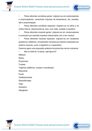 • Fibras aferentes somáticas gerais: originam-se em exteroceptores
e proprioceptores, conduzindo impulsos de temperatura, dor, pressão,
tato e propriocepção.
• Fibras aferentes somáticas especiais: originam-se na retina e na
orelha interna, relacionando-se, pois, com visão, audição e equilíbrio.
• Fibras aferentes viscerais gerais: originam-se em visceroceptores
e conduzem por exemplo impulsos relacionados com a dor visceral.
• Fibras aferentes viscerais especiais: originam-se em receptores
gustativos e olfatórios, considerados viscerais por estarem localizados em
sistema viscerais, como o digestório e o respiratório.
Faremos agora uma exposição anátomo-funcional dos nervos cranianos:
• São no total de 12 pares, veja figura 67
Olfatório
Óptico
Oculomotor
Troclear
Trigêmeo (oftálmico, maxilar e mandibular)
Abducente
Facial
Vestibulococlear
Glossofaríngeo
Vago
Acessório
Hipoglosso
 