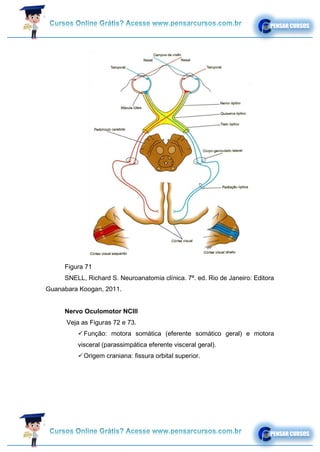 Figura 71
SNELL, Richard S. Neuroanatomia clínica. 7ª. ed. Rio de Janeiro: Editora
Guanabara Koogan, 2011.
Nervo Oculomotor NCIII
Veja as Figuras 72 e 73.
✓Função: motora somática (eferente somático geral) e motora
visceral (parassimpática eferente visceral geral).
✓Origem craniana: fissura orbital superior.
 