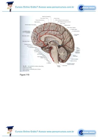 Figura 110
 