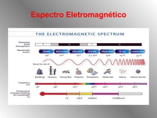 Espectro Eletromagnético 
