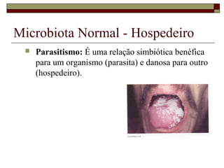 Microbiota Normal - Hospedeiro
 Parasitismo: É uma relação simbiótica benéfica
para um organismo (parasita) e danosa para outro
(hospedeiro).
 