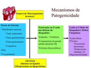 Portas de Entrada
• Membranas mucosas
•Trato respiratório
•Trato gastrintestinal
•Trato geniturinário
•Conjuntiva
•Pele
•Via parenteral
Aderência
Adesinas ou ligantes
Glicoproteinas ou lipoproteinas
Numero de Microrganismos
invasores
Penetração ou Evasão
das Defesas do
Hospedeiro
•Cápsulas - Virulência
•Componentes da parede
celular (proteína M)
•Enzimas (leucocidinas)
Lesão as Células do
Hospedeiro/ Efeitos
Citopaticos
•Lesão direta
•Toxinas
•Exotoxinas
(proteínas)
•Endotoxinas
(lipideos A)
•Hipersensibilidade
Mecanismos de
Patogenicidade
 