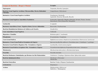 Grupos de Bactérias – Bergey’s Manual Exemplos
Espiroquetas Treponema, Borrelia, Leptospira
Bactérias Gram-Negativas Aeróbicas/ Microaerofilas, Moveis, Helicoidais/
Vibrioides
Campylobacter, Helicobacter
Bastonetes e Cocos Gram-Negativos Aeróbicos Pseudomonas, Bordetella,
Legionella, Neisseria, Moraxella, Brucella
Bastonetes Gram-Negativos Anaeróbicos Facultativos Escherichia, Salmonella, Shigella, Klebsiella, Serratia, Proteus, Yersinia,
Enterobacter,Vibrio,Pasteurella, Hemophilus
Gardnerella G.vaginalis
Bastonetes Anaeróbicos, Gram - Negativos, Retos, Curvos e Helicoidais. Bacteroides, Fusobacterium.
Bactérias Dissimilatorias Redutoras de Sulfato ou de Enxofre. Desulfovibrio
Cocos Anaeróbicos Gram-Negativos Veillonella
Riquetsias e Clamidias Rickettsia typhi, C. trachomatis
Micoplasmas M. pneumoniae, Ureaplasma
Cocos Gram-Positivos Staphylococcus aureus, Streptococcus pneumoniaea, Enterococcus, Lactococcus
Bastonetes e Cocos Gram-Positivos Formadores de Esporos Sporosarcina,Bacillus anthracis, Clostridium tetani, C.botulinum, C. perfringes.
Bastonetes Gram-Positivos Regulares Não - Formadores e Esporos Lactobacillus, Listeria monocytogenes
Bastonetes Gram-Positivos Irregulares Não - Formadores e Esporos Corynebacterium diphteriae,Propionibacterium acnes, Actinomyces
Micobacteria Micobacterium tuberculosis e Micobacterium leprae.
Nocardias Nocardia asteroides
Bactérias Deslizantes, Embainhadas, que Brotam e/ou São Pedunculadas: Caulobacter, Cytophaga, Hyphomicrobium, Sphaerotilus natans
Bactérias Quimioautotroficas Nitrobacter e Nitrosomas
Thiobacillus
Bactérias Fototroficas Bactérias Verdes e Púrpuras Cianobacterias
Actinomicetos Streptomyces
Archaea Halobacterium e Halococcus
Sulfolobus e Metanogeneas
 