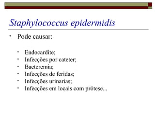 Staphylococcus epidermidis
• Pode causar:
• Endocardite;
• Infecções por cateter;
• Bacteremia;
• Infecções de feridas;
• Infecções urinarias;
• Infecções em locais com prótese...
 