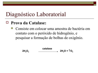 Diagnóstico Laboratorial
 Prova da Catalase:
 Consiste em colocar uma amostra de bactéria em
contato com o peróxido de hidrogênio, e
pesquisar a formação de bolhas de oxigênio.
2H2O2 2H2O + ↑O2
catalase
 