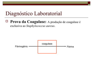 Diagnóstico Laboratorial
 Prova da Coagulase: A produção de coagulase é
exclusiva ao Staphylococcus aureus.
coagulase
Fibrinogênio Fibrina
 