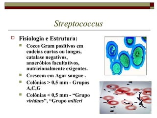 Streptococcus
 Fisiologia e Estrutura:
 Cocos Gram positivos em
cadeias curtas ou longas,
catalase negativos,
anaeróbios facultativos,
nutricionalmente exigentes.
 Crescem em Agar sangue .
 Colônias > 0,5 mm - Grupos
A,C,G
 Colônias < 0,5 mm - “Grupo
viridans”, “Grupo milleri
 