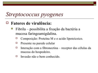 Streptococcus pyogenes
 Fatores de virulência:
 Fibrila – possibilita a fixação da bactéria a
mucosa faringoamigdalina.
 Composição: Proteína M e o acido lipoteicoico.
 Presente na parede celular
 Interação com a fibronectina – receptor das células da
mucosa do hospedeiro.
 Invasão não e bem conhecido.
 