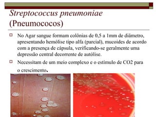 Streptococcus pneumoniae
(Pneumococos)
 No Agar sangue formam colônias de 0,5 a 1mm de diâmetro,
apresentando hemólise tipo alfa (parcial), mucoides de acordo
com a presença de cápsula, verificando-se geralmente uma
depressão central decorrente de autólise.
 Necessitam de um meio complexo e o estímulo de CO2 para
o crescimento.
 