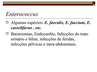 Enterococcus
 Algumas espécies: E. faecalis, E. faecium, E.
casselifavus , etc.
 Bacteremias, Endocardite, Infecções do trato
urinário e biliar, infecções de feridas,
infecções pélvicas e intra-abdominais.
 