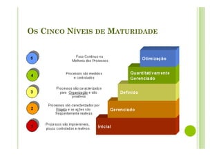 OS CINCO NÍVEIS DE MATURIDADE
 