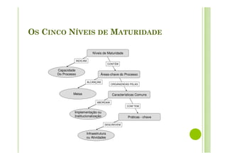 OS CINCO NÍVEIS DE MATURIDADE
Níveis de Maturidade
Áreas-chave do Processo
Características Comuns
Práticas - chave
Infraestrutura
ou Atividades
Implementação ou
Institucionalização
Metas
Capacidade
Do Processo
INDICAM
ALCANÇAM
ABORDAM
DESCREVEM
CONTÉM
ORGANIZADAS PELAS
COM´TEM
 