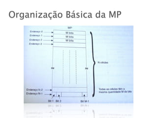 Organização Básica da MP
 