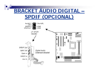 BRACKET ÁUDIO DIGITAL – 
SPDIF (OPCIONAL) 
 