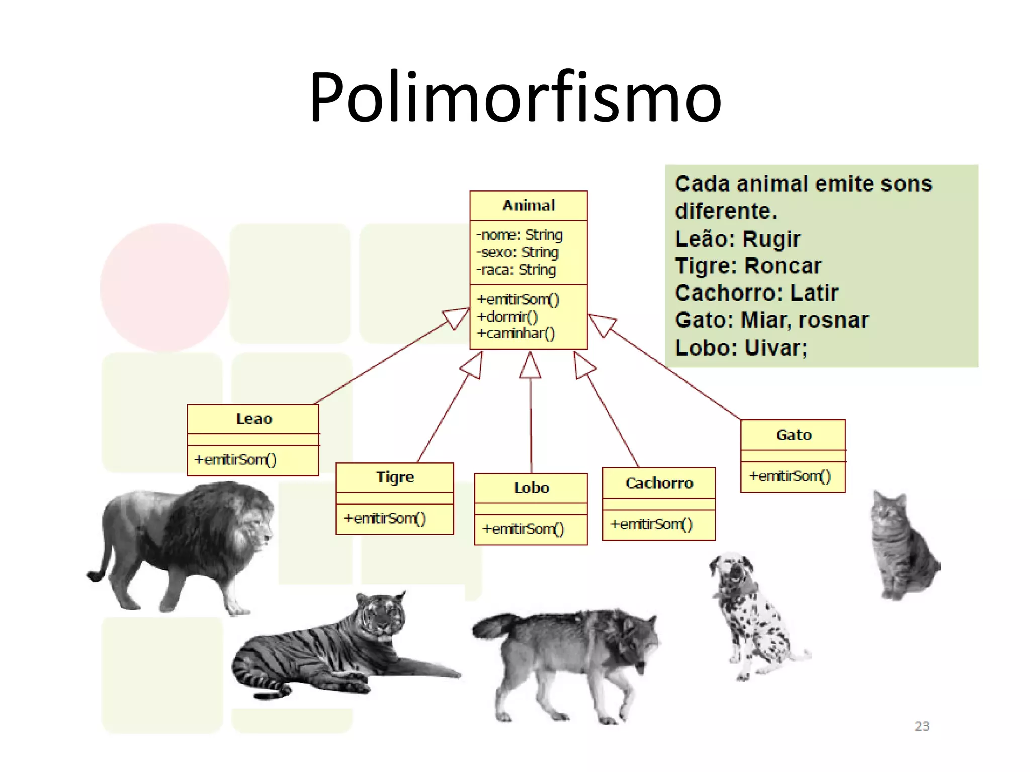 Polimorfismo
 