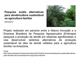 Projeto realizado em parceria entre a Natura Inovação e a
Empresa Brasileira de Pesquisa Agropecuária (Embrapa)
pesquisa a produção de dendê em sistemas agroflorestais e
visa desenvolver sistemas alternativos de produção
sustentável de óleo de dendê voltados para a agricultura
familiar na Amazônia.
Fonte:
http://www.embrapa.br/imprensa/noticias/2012/abril/1a-semana/pesquisa-avalia-alternativas-
para-dendeicultura-sustentavel-na-agricultura-familiar
Pesquisa avalia alternativas
para dendeicultura sustentável
na agricultura familiar
02/04/2012
 
