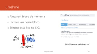 Crashme
o Aloca um bloco de memória
o Escreve lixo nesse bloco
o Executa esse lixo no S.O.
rodrigo@ic.ufal.br 102
http://crashme.codeplex.com/
 