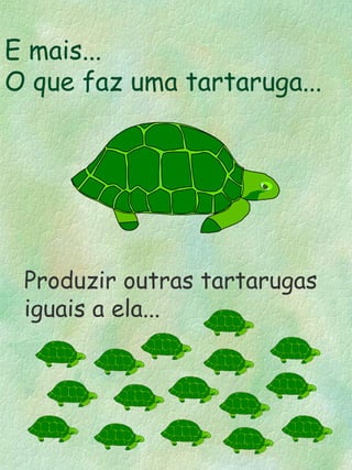 E mais...
O que faz uma tartaruga...
Produzir outras tartarugas
iguais a ela...
 