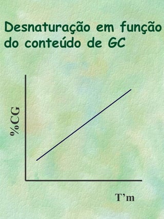 Desnaturação em função
do conteúdo de GC
%CG
T’m
 