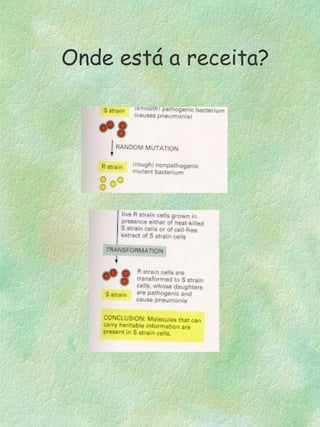 Onde está a receita?
 