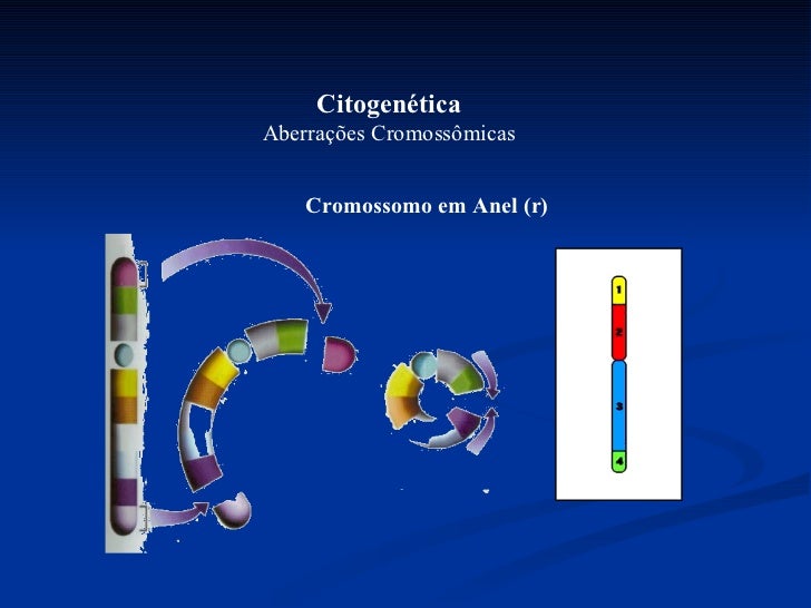 Cromossomo Em Anel