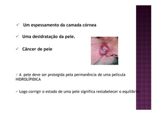 Um espessamento da camada córnea
Uma desidratação da pele.
Câncer de pele
A pele deve ser protegida pela permanência de uma película
HIDROLÍPIDICA
Logo corrigir o estado de uma pele significa restabelecer o equilíbrio.
 