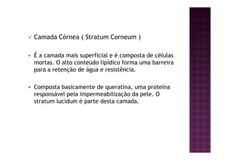 Camada Córnea ( Stratum Corneum )
É a camada mais superficial e é composta de células
mortas. O alto conteúdo lipídico forma uma barreira
para a retenção de água e resistência.
Composta basicamente de queratina, uma proteína
responsável pela impermeabilização da pele. O
stratum lucidum é parte desta camada.
 