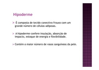 Hipoderme
É composta de tecido conectivo frouxo com um
grande número de células adiposas.
A hipoderme confere insulação, absorção de
impacto, estoque de energia e flexibilidade.
Contém o maior número de vasos sanguíneos da pele.
 