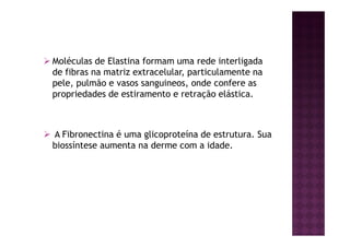 Moléculas de Elastina formam uma rede interligada
de fibras na matriz extracelular, particulamente na
pele, pulmão e vasos sanguineos, onde confere as
propriedades de estiramento e retração elástica.
A Fibronectina é uma glicoproteína de estrutura. Sua
biossíntese aumenta na derme com a idade.
 