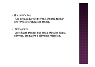 Queratinócitos
São células que se diferenciam para formar
diferentes estruturas do cabelo.
Melanócitos
São células grandes que estão presa na papila
dérmica, produzem o pigmento melanina.
 
