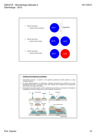 ICB/UFJF - Microbiologia Aplicada à 
Odontologia - 2012 
19/11/2012 
• Adesão bacteriana 
– Adesão Célula-superfície 
• Adesão bacteriana 
– Adesão Célula-célula 
• Adesão bacteriana 
– Adesão Célula-célula 
 Dinâmica de formação de um biofilme: 
1. Colonizadores primários - se aderem a uma superfície, geralmente contendo proteínas ou outros 
compostos orgânicos; 
2. As células aderidas passam a se desenvolver, originando microcolônias que sintetizam uma matriz 
exopolissacarídica (EPS), que passam a atuar como substrato para a aderência de microrganismos 
denominados colonizadores secundários. 
3. Colonizadores secundários podem se aderir diretamente aos primários, ou promoverem a formação de 
coagregados com outros microrganismos e então se aderirem aos primários. 
Prof. Cláudio 15 
 