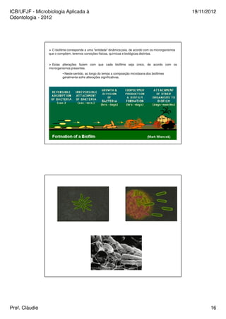 ICB/UFJF - Microbiologia Aplicada à 
Odontologia - 2012 
19/11/2012 
 O biofilme corresponde a uma entidade dinâmica pois, de acordo com os microrganismos 
que o compõem, teremos consições físicas, químicas e biológicas distintas. 
 Estas alterações fazem com que cada biofilme seja único, de acordo com os 
microrganismos presentes. 
• Neste sentido, ao longo do tempo a composição microbiana dos biofilmes 
geralmente sofre alterações significativas. 
Prof. Cláudio 16 
 