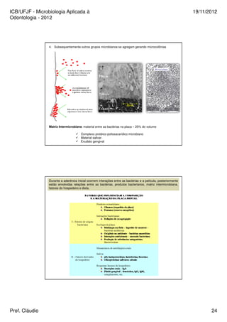 ICB/UFJF - Microbiologia Aplicada à 
Odontologia - 2012 
19/11/2012 
4. Subsequentemente outros grupos microbianos se agregam gerando microcolônias 
Matriz Intermicrobiana: material entre as bactérias na placa – 25% do volume 
 Complexo protéico-polissacarídico microbiano 
 Material salivar 
 Exudato gengival 
Durante a aderência inicial ocorrem interações entre as bactérias e a película, posteriormente 
estão envolvidas relações entre as bactérias, produtos bacterianos, matriz intermicrobiana, 
fatores do hospedeiro e dieta. 
Prof. Cláudio 24 
 
