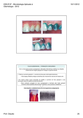 ICB/UFJF - Microbiologia Aplicada à 
Odontologia - 2012 
19/11/2012 
PLACA SUBGENGIVAL – FORMAÇÃO E BIOQUÍMICA 
Com a maturação da placa supragengival, alterações inflamatórias modificam as relações 
anatômicas da margem gengival em relação à superfície dental. 
 Edema e aumento gengival = aumento da área para colonização bacteriana. 
• Este espaço dilatado protege as bactérias dos mecanismos naturais de limpeza oral. 
 Ao mesmo tempo ocorre renovação do epitélio e aumento do fluxo gengival e uma 
renovação celular do epitélio da bolsa periodontal. 
•Novo ambiente protegido do meio supragengival e banhado pelo fluido gengival 
contendo células epiteliais descamativas, bactérias e seus produtos metabólicos. 
Interrelações e estabelecimento de microrganismos subgengivais 
Prof. Cláudio 25 
 