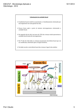ICB/UFJF - Microbiologia Aplicada à 
Odontologia - 2012 
19/11/2012 
Colonização da cavidade bucal 
 O ambiente bucal é estéril ao nascimento e é imediatamente colonizado por 
microrganismos do trato genital da mãe; 
 Poucas horas após o parto já existem microrganismos colonizando a 
cavidade bucal; 
 No segundo dia de vida, em torno de 15% das crianças ainda apresentam a 
cavidade bucal isenta de microrganismos 
 No 3ª mês de vida todas as crianças já possuem microbiota bucal que vai 
ser modificada, sobretudo após a erupção dentária; 
 Na idade escolar a microbiota bucal das crianças é igual à dos adultos 
Bacilos G- 
Cocos G- Bacilos G+ 
Cocos G+ 
Espiroquetas Fungos 
Vírus 
Prof. Cláudio 5 
 