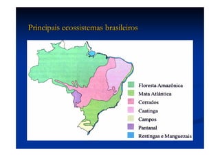 Aula (1)   Ecossistemas E Biodiversidade