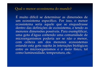 Aula (1)   Ecossistemas E Biodiversidade
