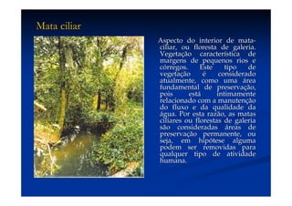 Aula (1)   Ecossistemas E Biodiversidade