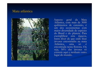 Aula (1)   Ecossistemas E Biodiversidade