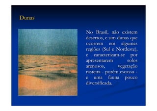 Aula (1)   Ecossistemas E Biodiversidade