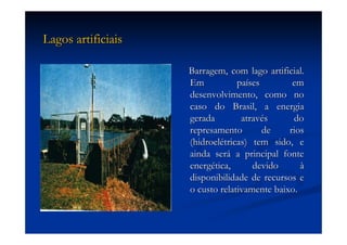 Aula (1)   Ecossistemas E Biodiversidade