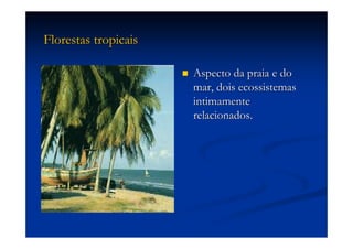 Aula (1)   Ecossistemas E Biodiversidade