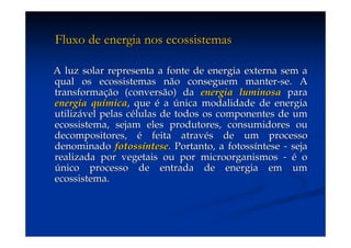 Aula (1)   Ecossistemas E Biodiversidade