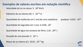 Exemplos de valores escritos em notação científica
 Velocidade da luz no vácuo: 3 . 105 Km/s
 Diâmetro de um átomo (H): 1 . 10-10 m
 Quantidade de moléculas em 1 mol de uma substância qualquer: 6,022 . 1023
 Quantidade de segundos em 1 ano: 3,1536 . 107
 Quantidade de água nos oceanos da Terra: 1,35 . 1021 L
 Duração de uma piscada: 2 . 10-1 s
 Massa de um átomo (C): 19,92 . 10-27 Kg
 