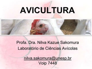 AVICULTURA
Profa. Dra. Nilva Kazue Sakomura
Laboratório de Ciências Avícolas
nilva.sakomura@unesp.br
Voip 7448
 