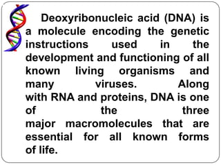 Deoxyribonucleic acid (DNA) is
a molecule encoding the genetic
instructions    used     in    the
development and functioning of all
known living organisms and
many         viruses.       Along
with RNA and proteins, DNA is one
of            the            three
major macromolecules that are
essential for all known forms
of life.
 