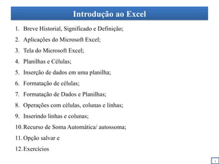 Introdução ao Excel
1. Breve Historial, Significado e Definição;
2. Aplicações do Microsoft Excel;
3. Tela do Microsoft Excel;
4. Planilhas e Células;
5. Inserção de dados em uma planilha;
6. Formatação de células;
7. Formatação de Dados e Planilhas;
8. Operações com células, colunas e linhas;
9. Inserindo linhas e colunas;
10.Recurso de Soma Automática/ autossoma;
11.Opção salvar e
12.Exercícios
i
 